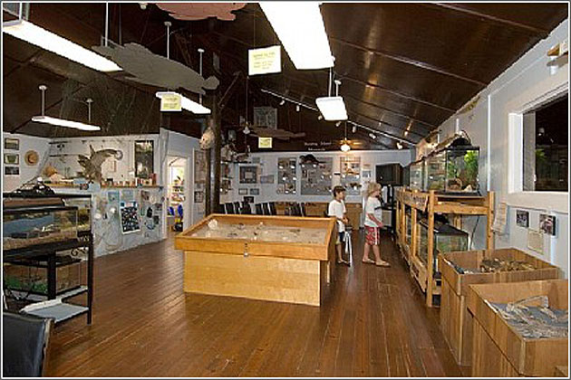The Hunting Island Nature Center