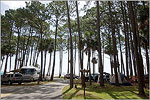 Seaside Camping