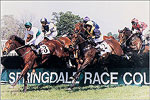Springdale Race Course