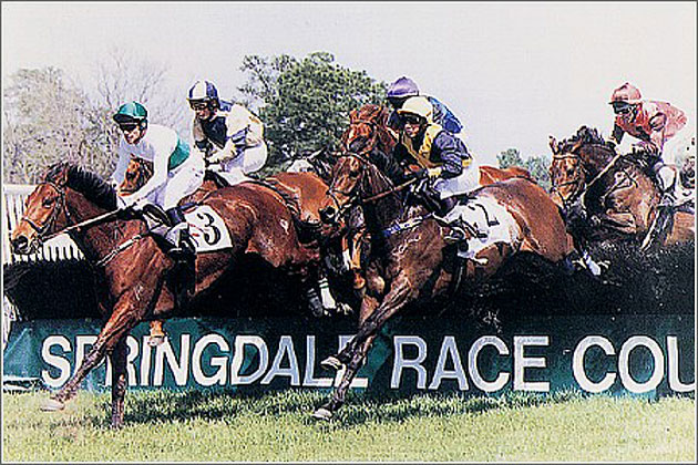 Springdale Race Course