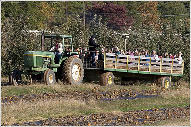 Fall Hay Ride at Nivens' Apple Farm