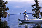 Fishing Lake Marion and Moultrie
