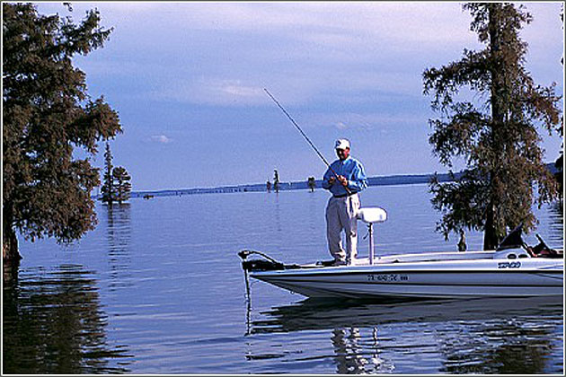 Fishing Lake Marion and Moultrie