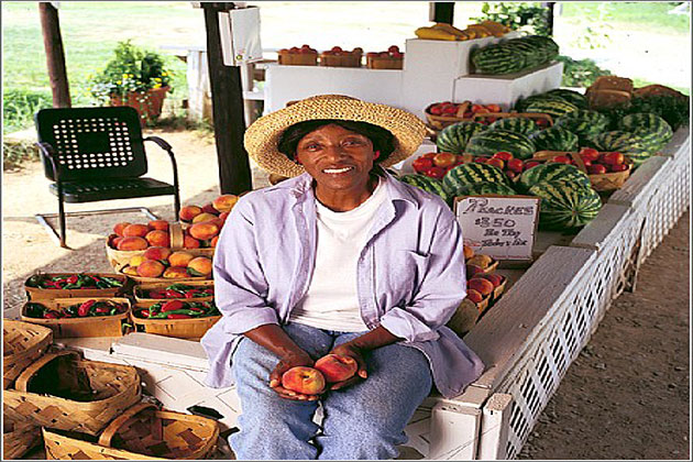 Sanders Peach Farm & Roadside Market