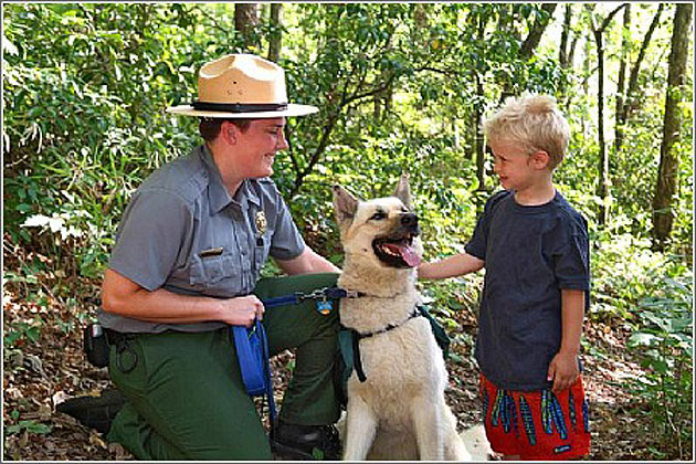 The Park Ranger