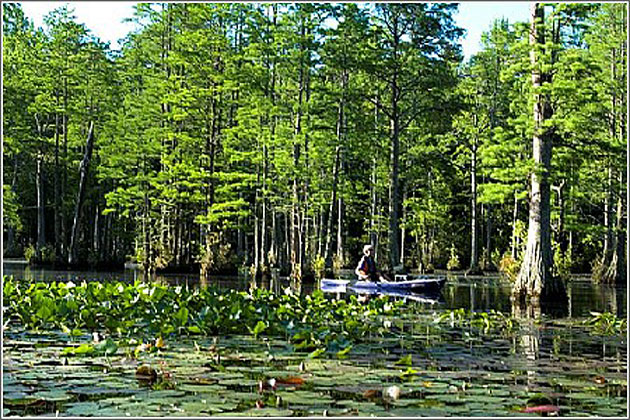 The Beauty of Lake Juniper