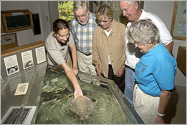 Coastal Exploration Program
