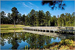 The Bridge Over Lake Juniper