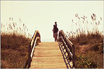 Myrtle Beach State Park