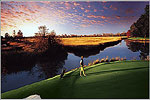 Golf…South Carolina Style!