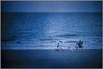 South Carolina Lowcountry