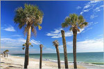 Edisto Beach State Park
