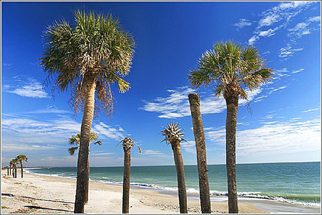 Edisto Beach State Park