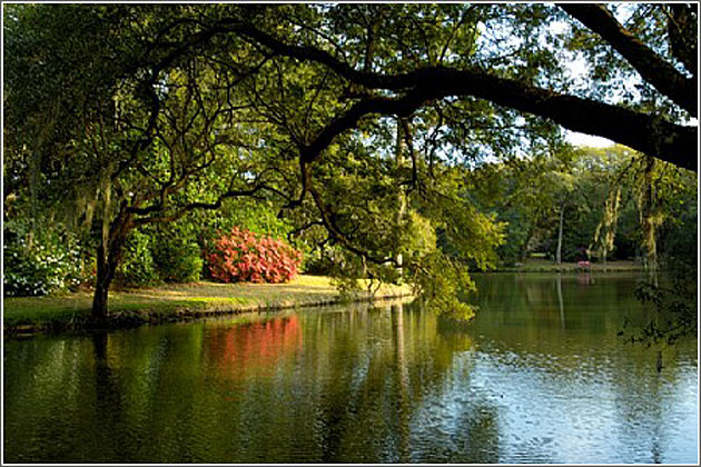 A View Across the Pond