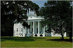 Hampton Plantation
