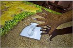 A Virtual Excavation