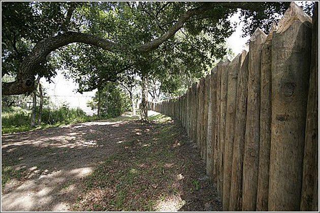 Palisade Wall