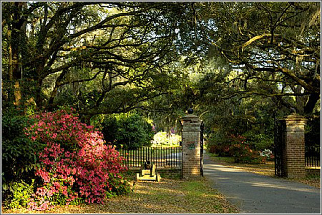 Beauty of Charles Towne Landing