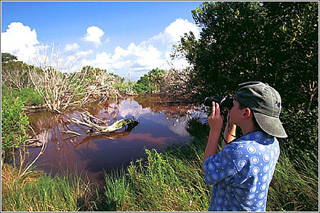 Bull Island