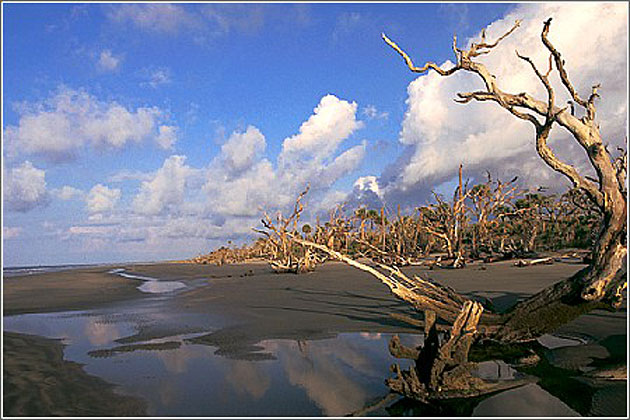 Cape Romain National Wildlife Refuge