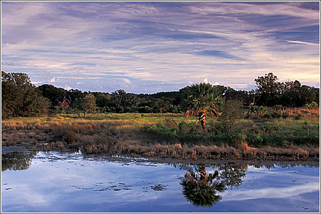 Ace Basin