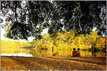 Fall at Sesqui