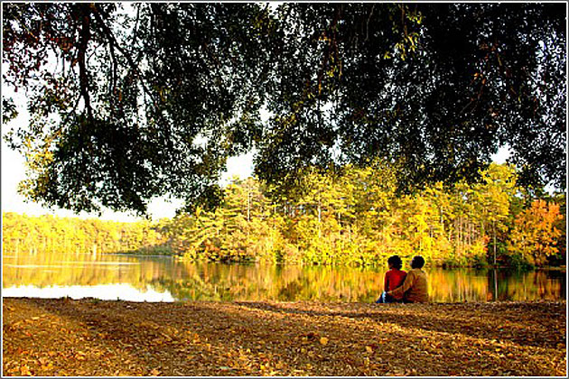 Fall at Sesqui