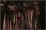 South Carolina's Newest National Park