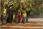 Strolling at the Park