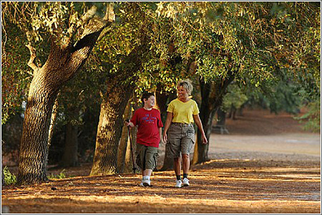 Strolling at the Park