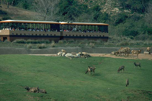 Wild Animal Park