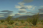 Anza-Borrego Desert