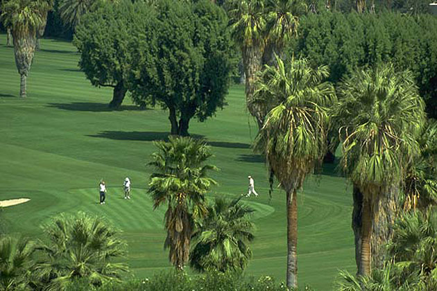 Palm Springs Golf