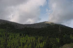 Colville Nat'l Forest
