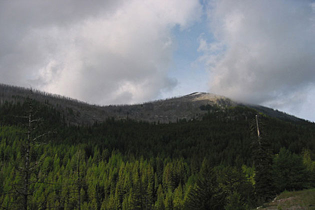 Colville Nat'l Forest