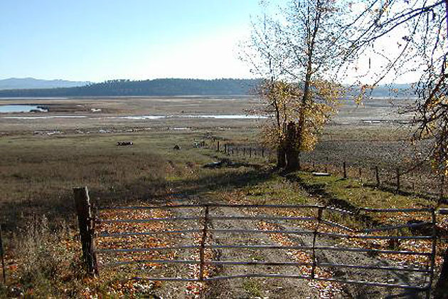 Pasture