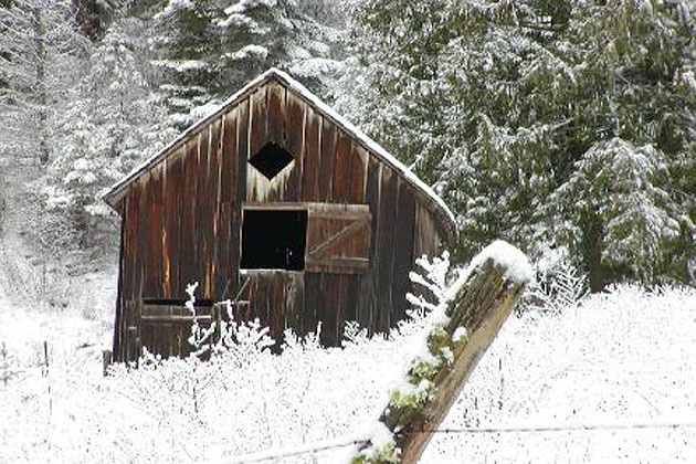 Sullivan Lake Road