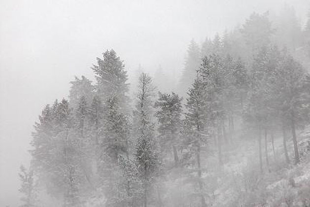 Fog on the Hall Mountains