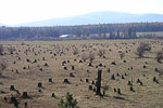 Field and Farmland