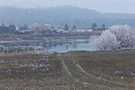 Frost on The Banks
