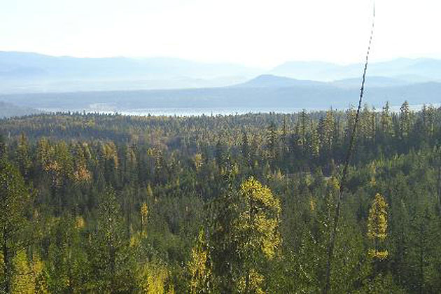 Flowery Trail Road