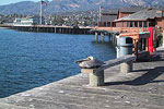 Stearns Wharf