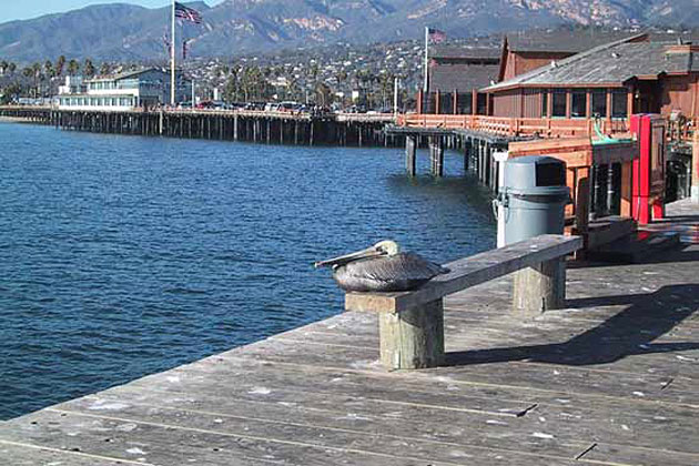 Stearns Wharf