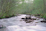 Still Creek
