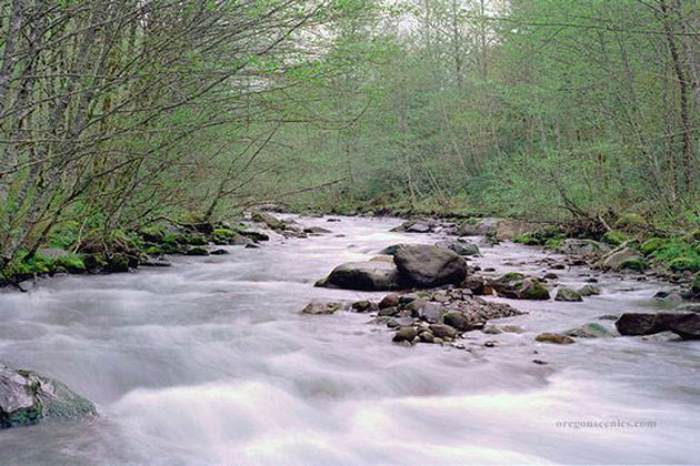 Still Creek