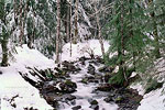 Stream on Mt Hood