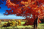 Fall Color Images