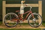Duck on a Bike