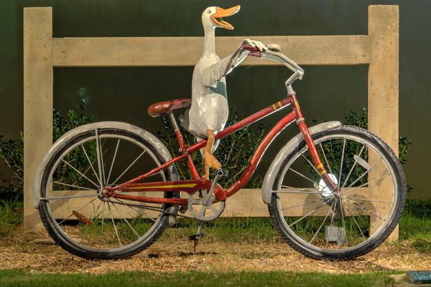 Duck on a Bike