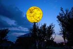 Man in the Moon
